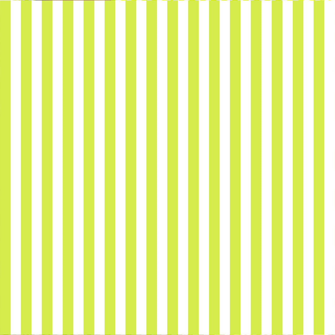 Applemint - Everyday Easy Set<br>Women’s Embroidered Cotton Notch Collar Shorts Set