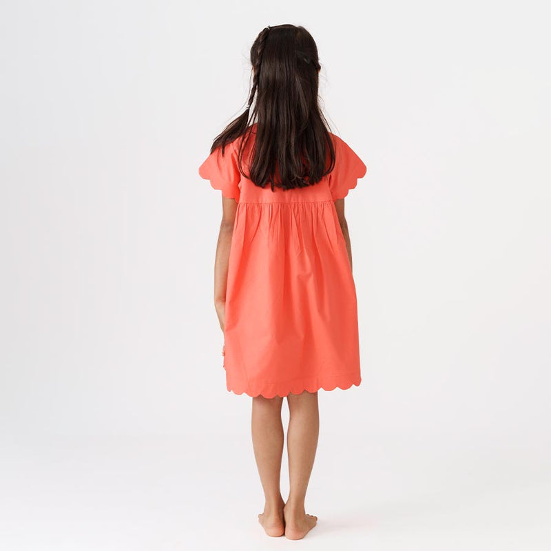 Tangerine Dress